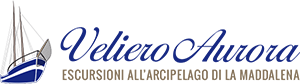 Veliero d'epoca Aurora Logo